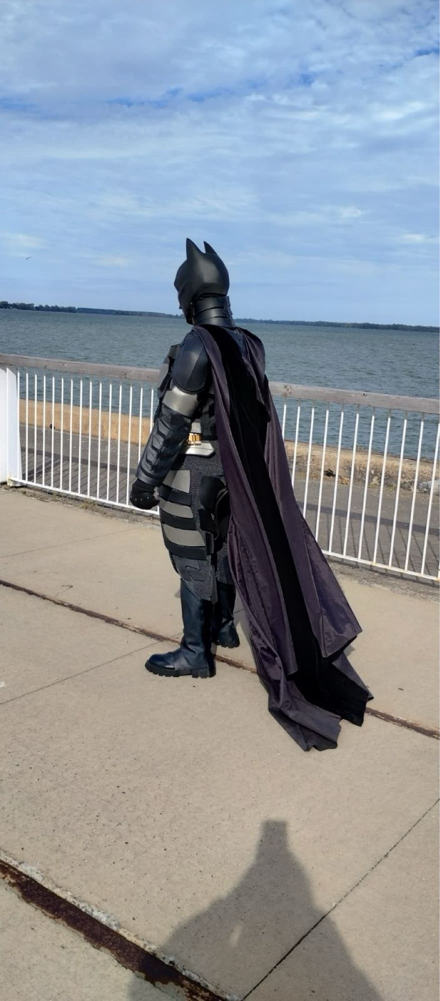 Batman TDK - Photo 19