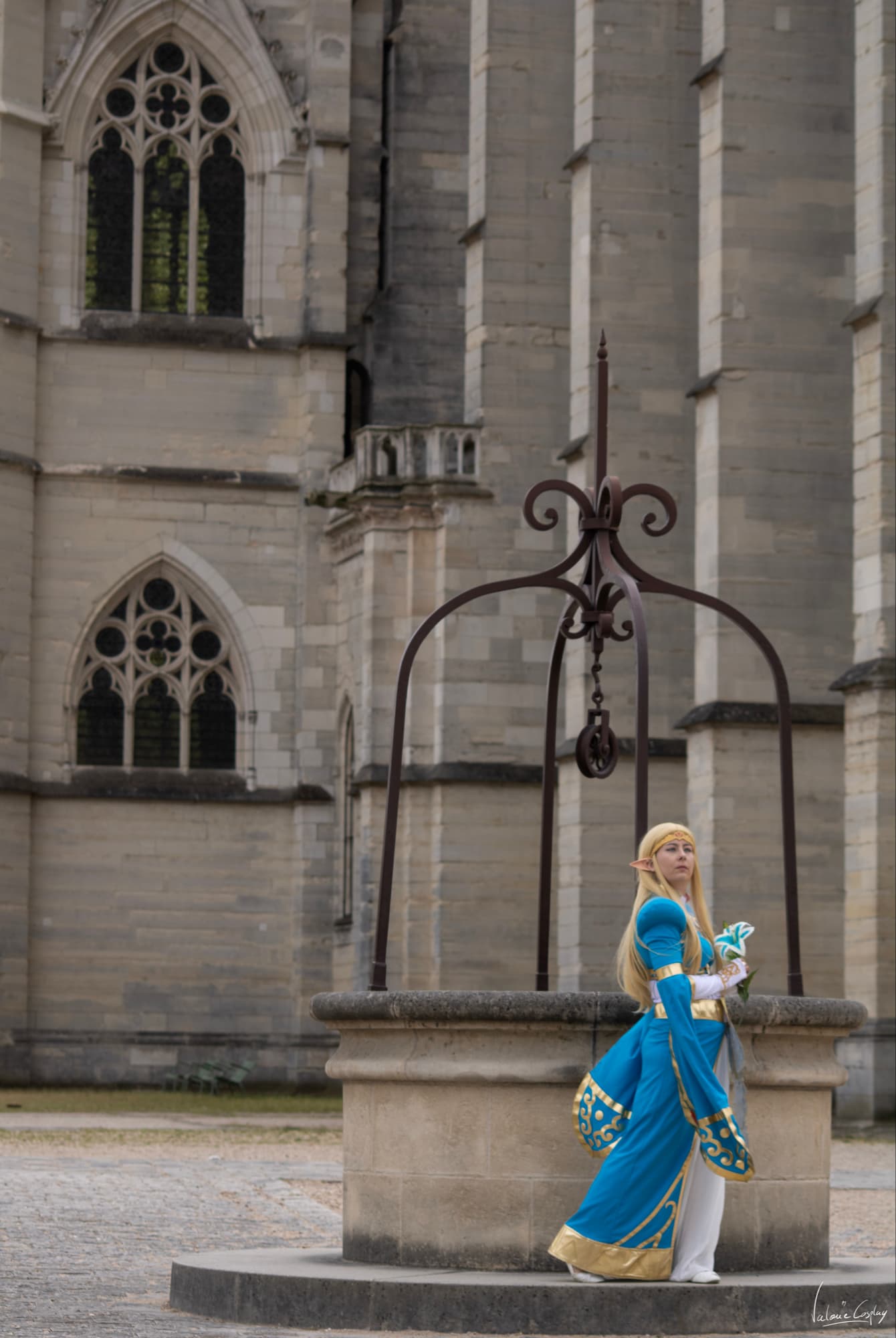 Zelda  - Photo 1