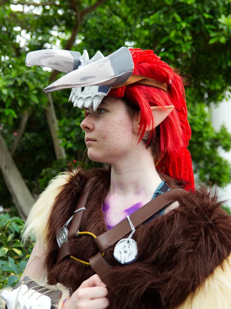 Barbarian link - Photo 1