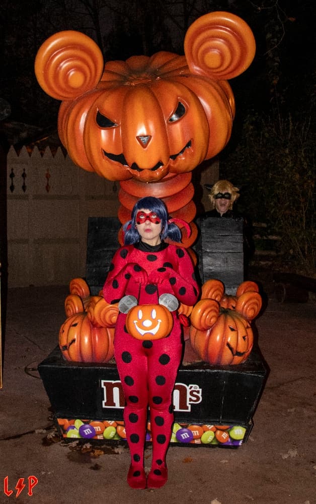 Miraculous Hallo 01 - Photo 4