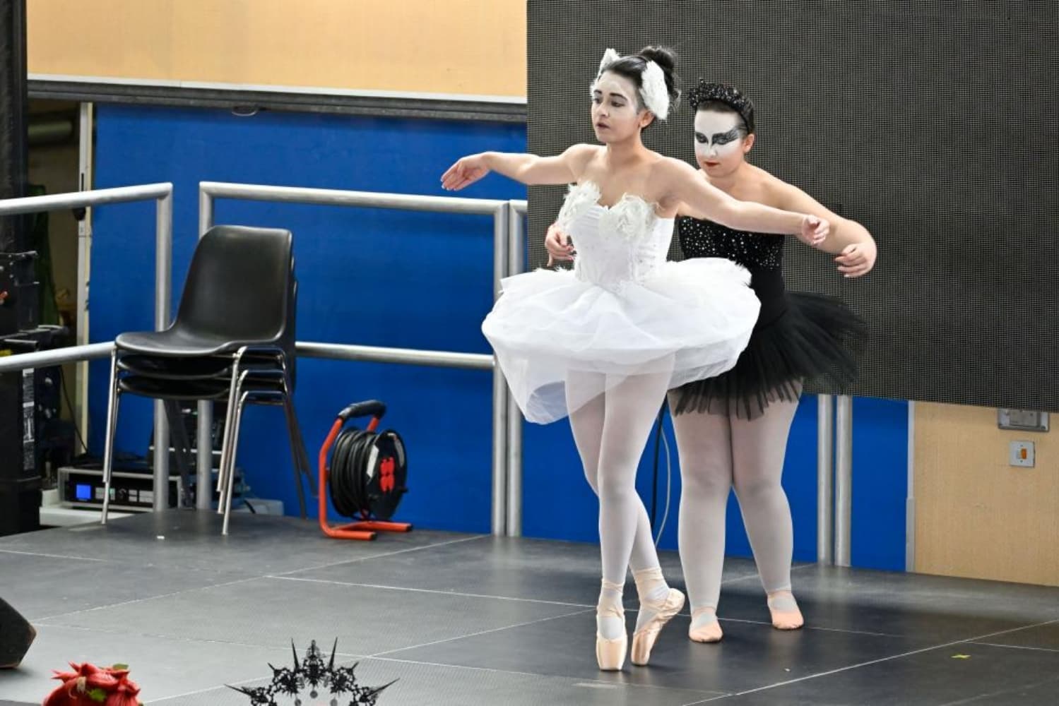 Black swan - Photo 5