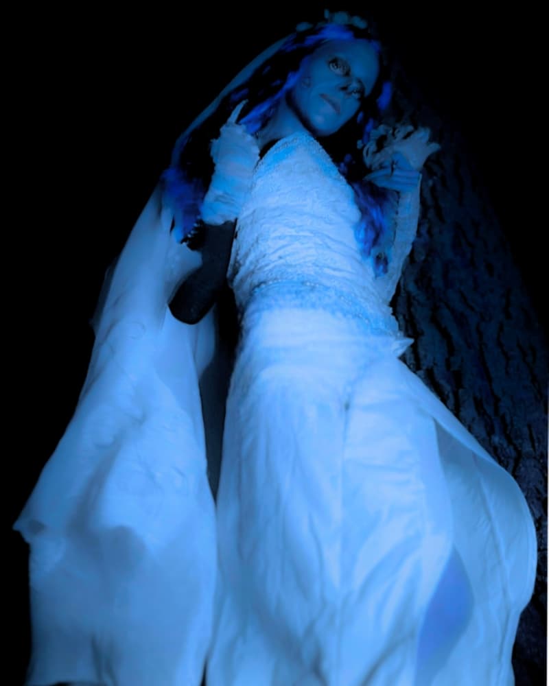 Halloween 2024 - Photo 7