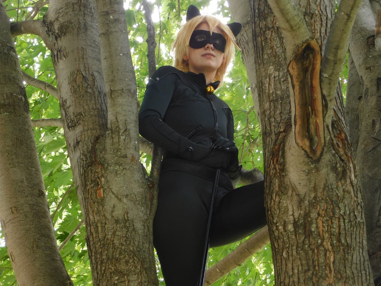 Chat Noir - Photo 14