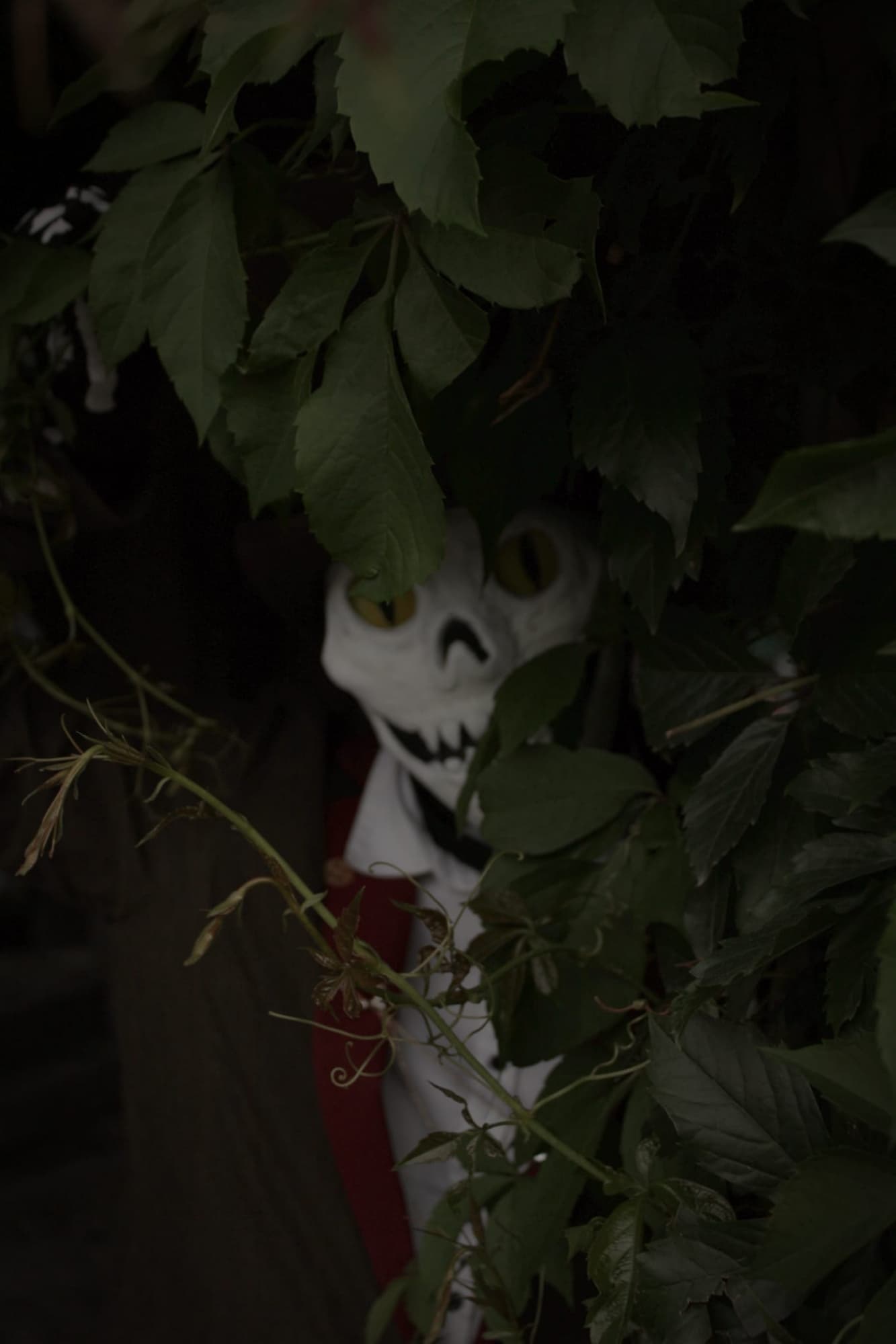 Itward @ Animagic - Photo 4