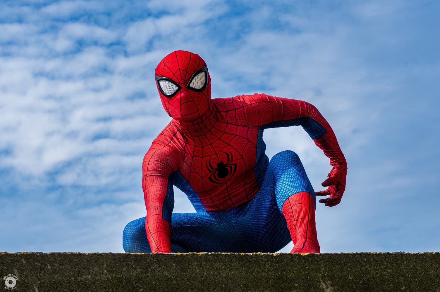 Ravengers - Photo 26