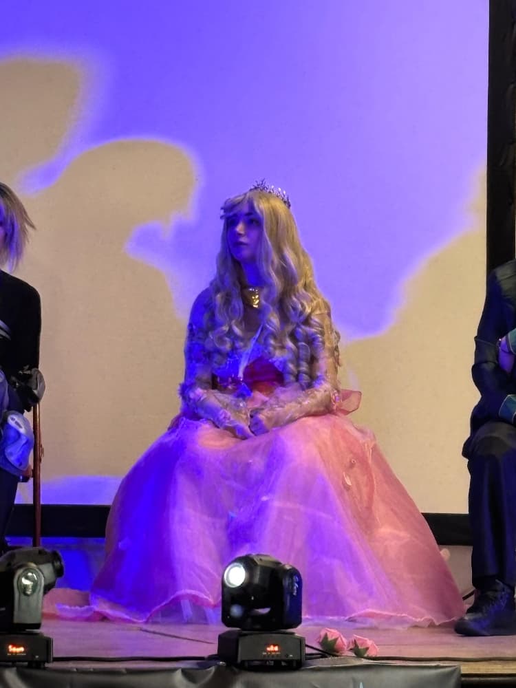 Princesse Aurore - Photo 4