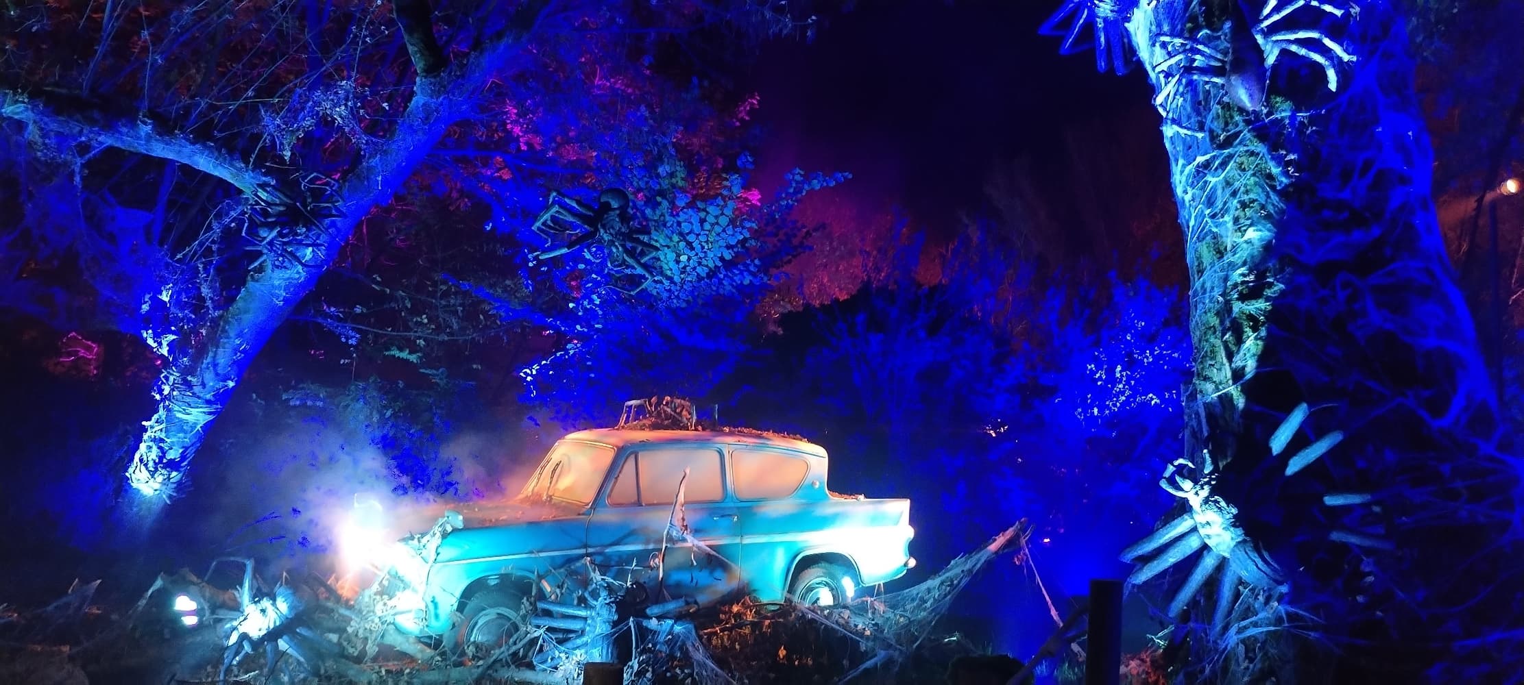 La forêt interdite - Photo 29