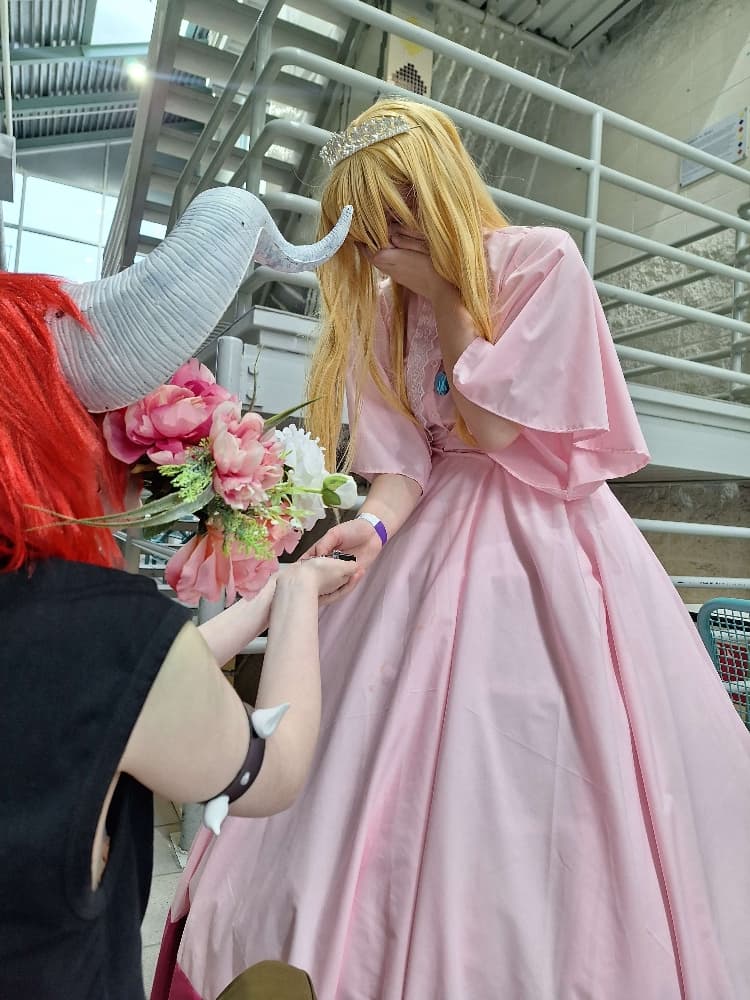 Bowser/Peach - Photo 7