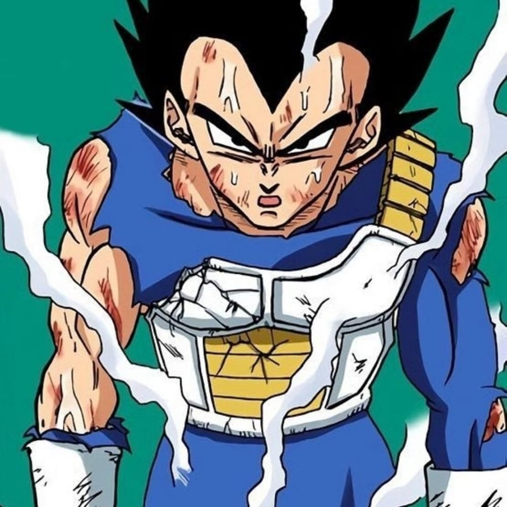 Vegeta armure endommagé