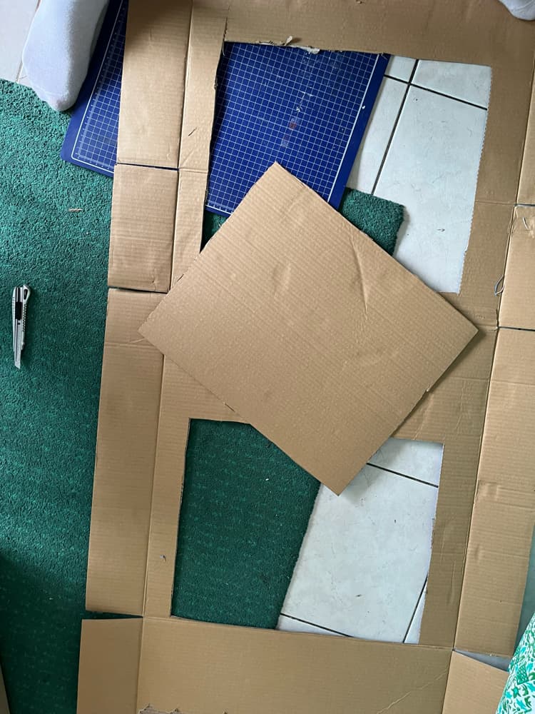 Le masque avance  - Photo 1