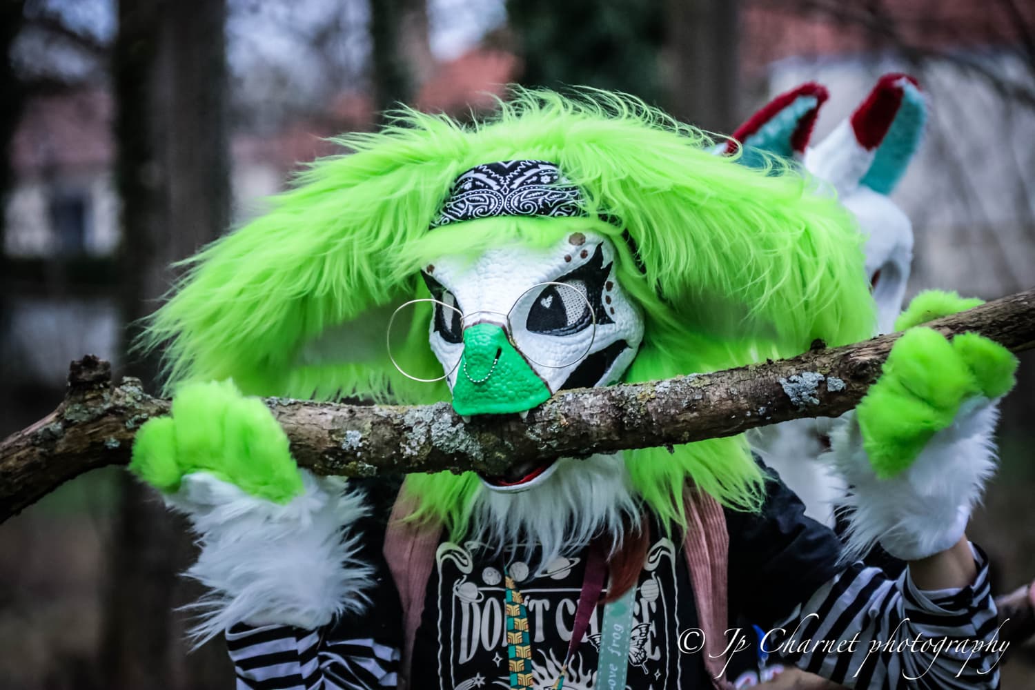 Migennes Collector - Photo 4