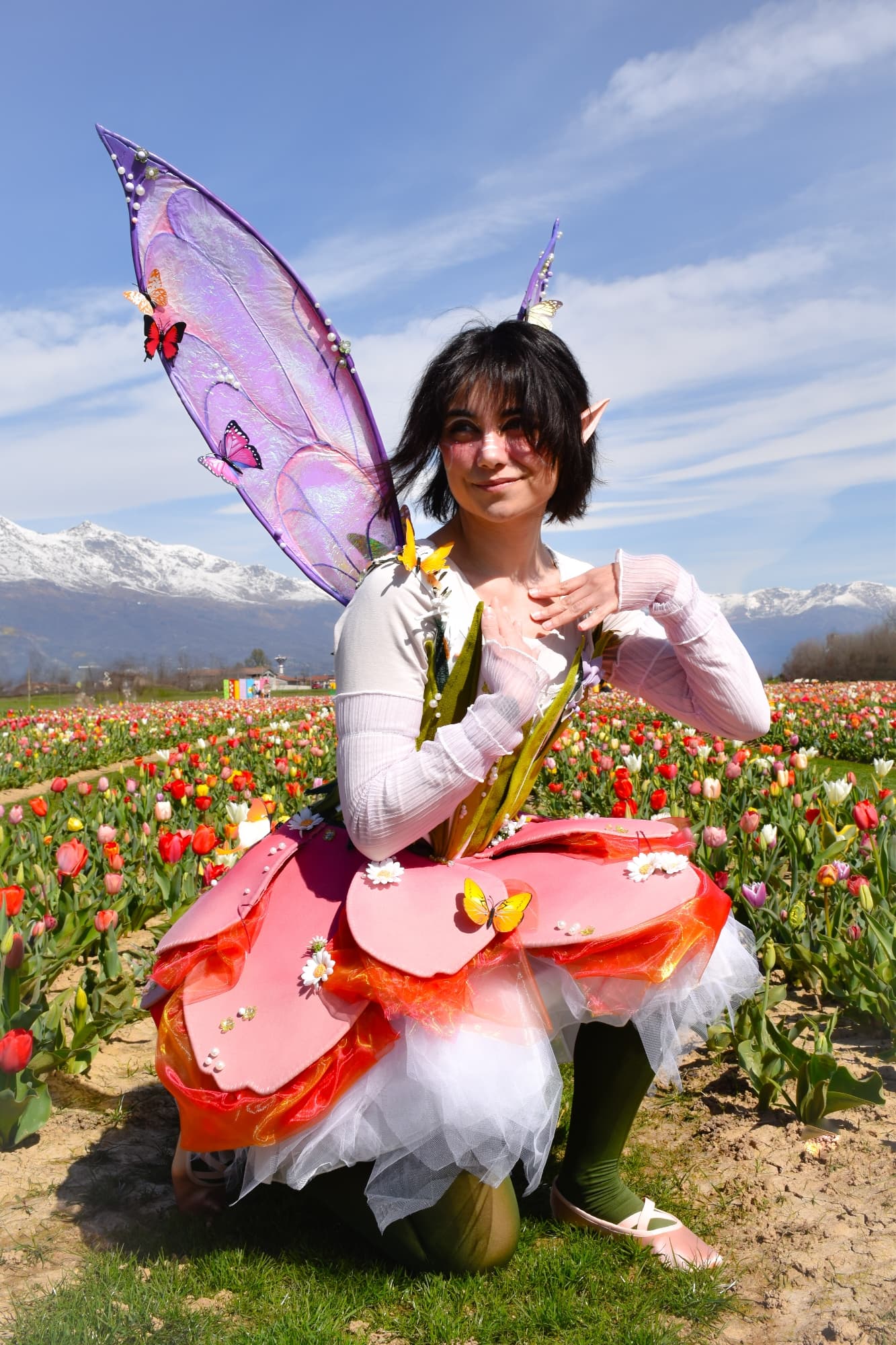 Lale the FairyTulip  - Photo 7