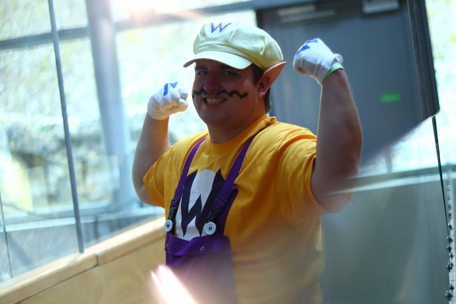 Wario - Photo 2
