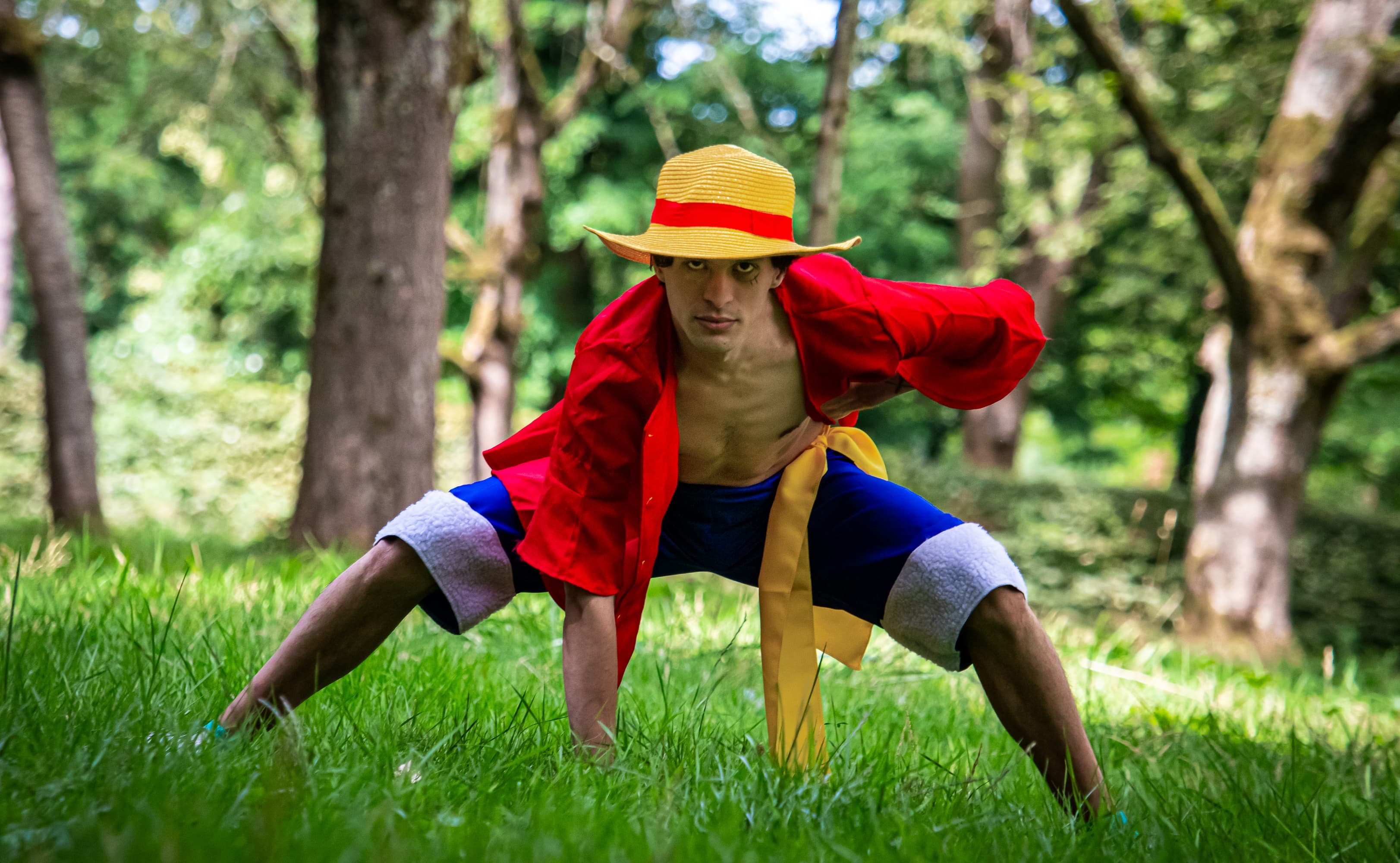 Monkey D Luffy - Photo 1