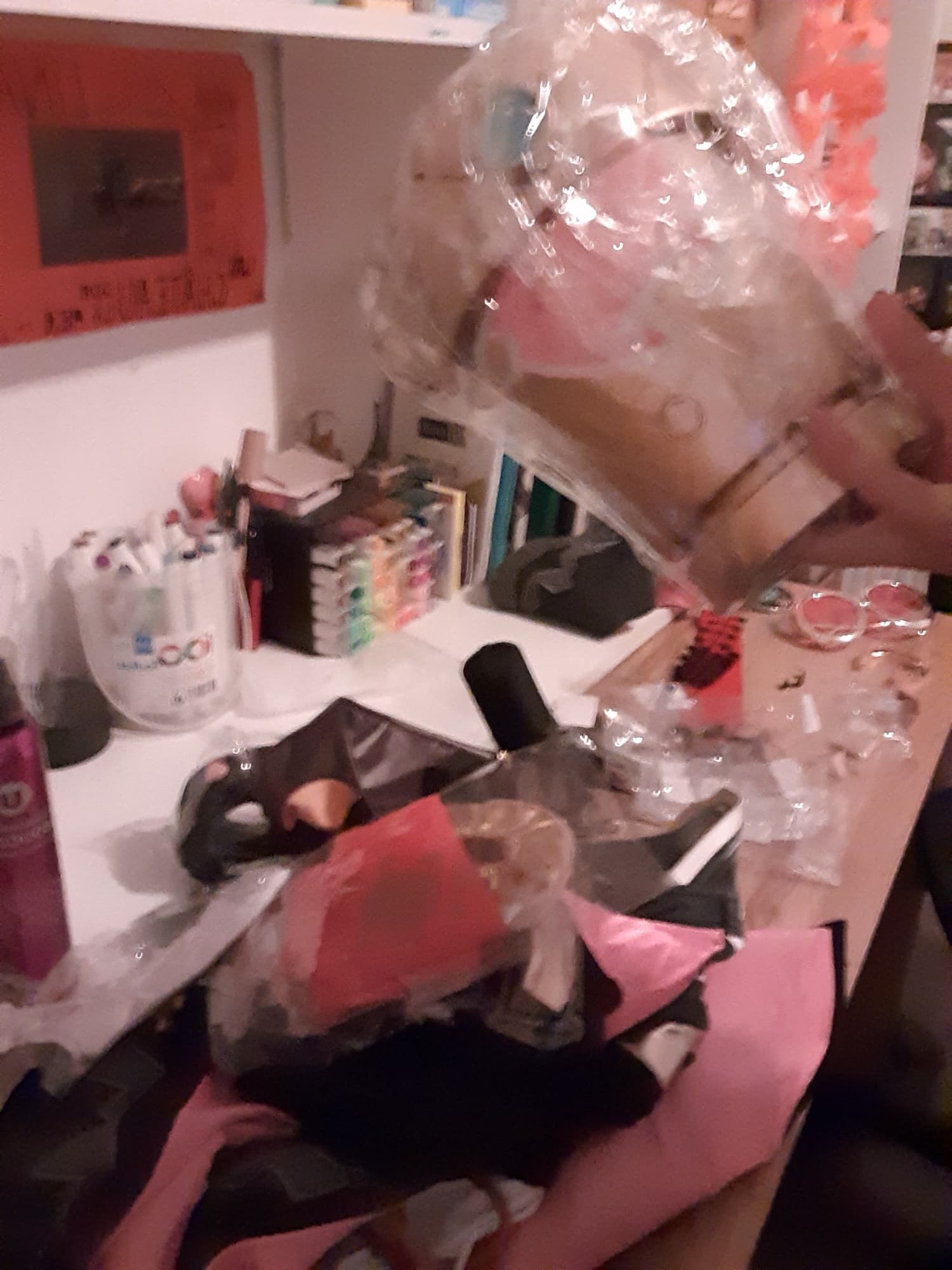 WIP - Photo 1