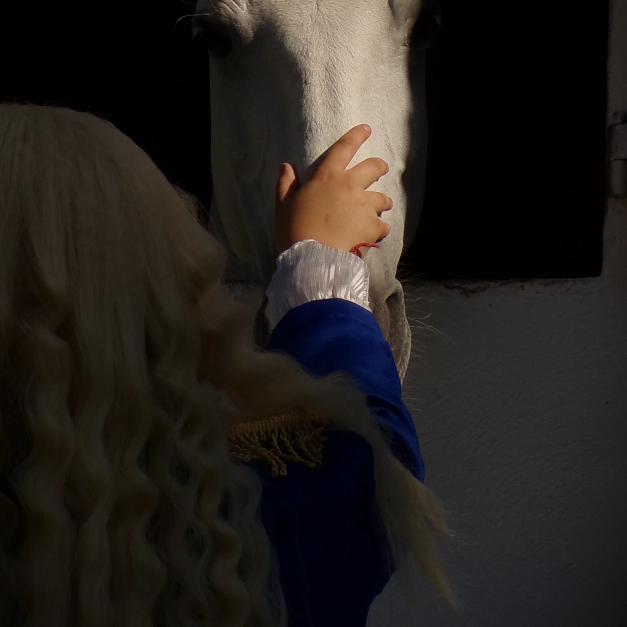 Lady oscar - The Rose of Versailles cosplay photoshoot cover