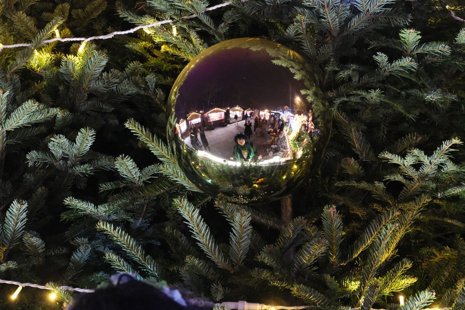 Venti Noël  - Photo 6