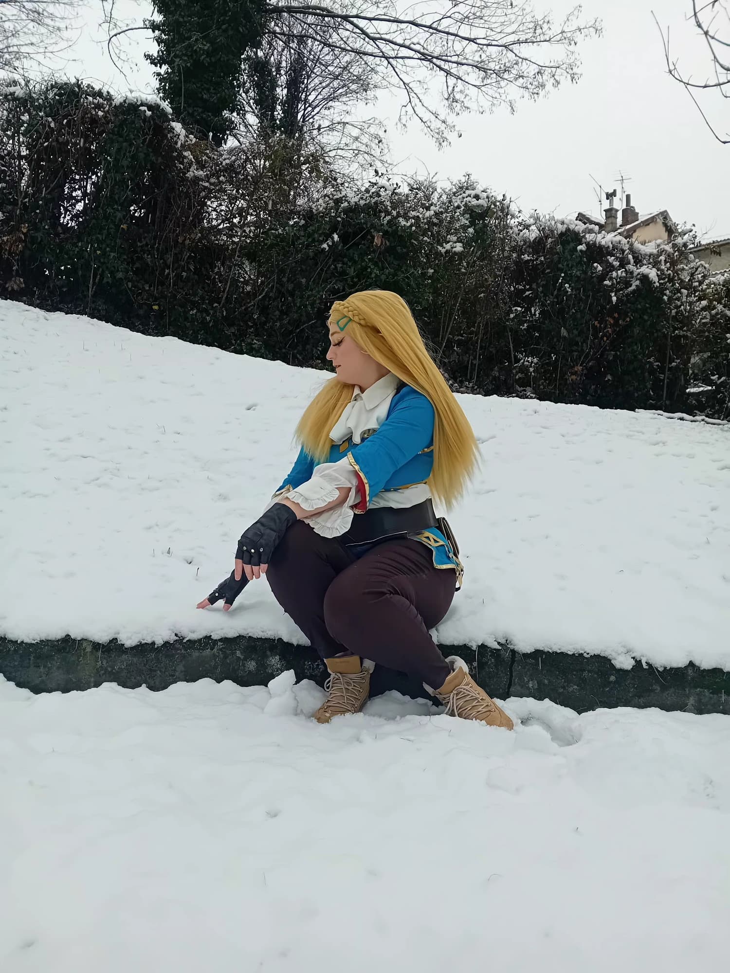Zelda v3 - Photo 3