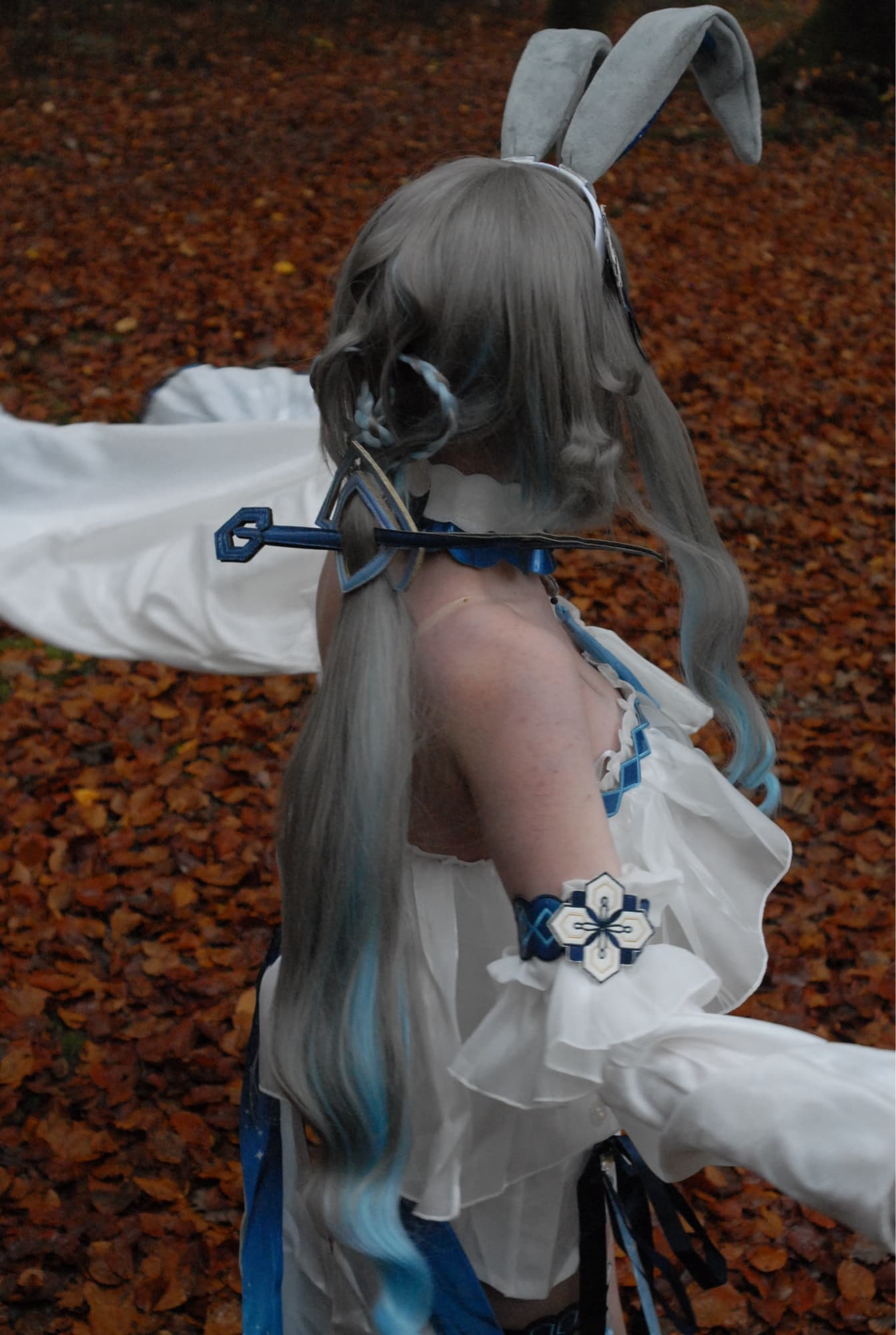 Guizhong Bunny - Photo 22