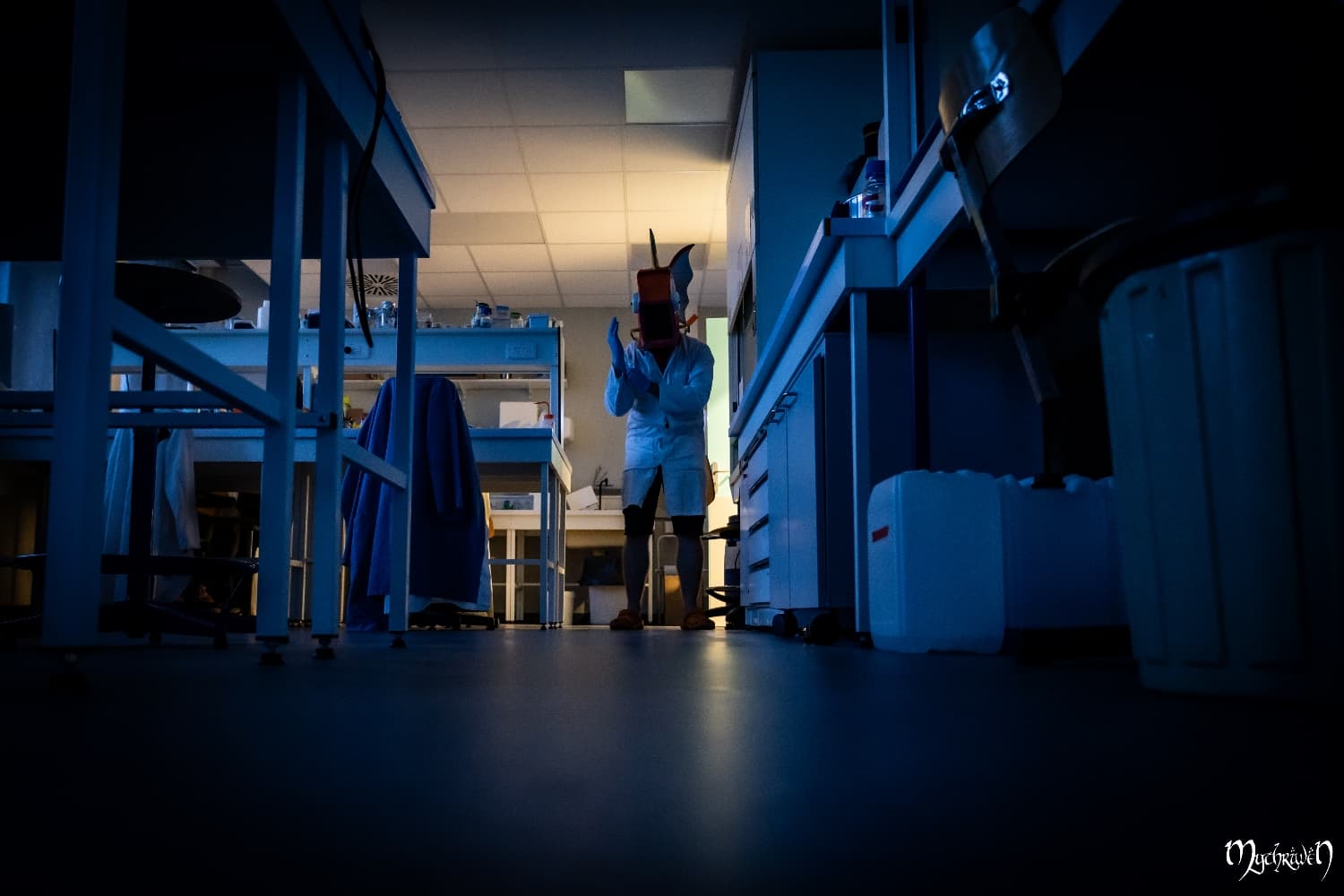 Professor Magicarpe  - Photo 10