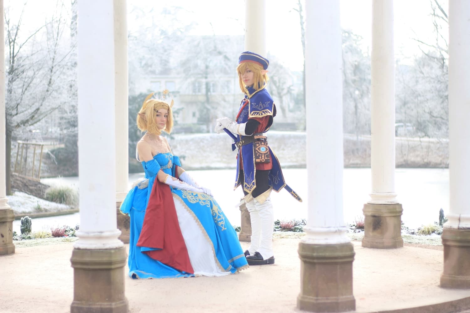 Link royal guard - Photo 3