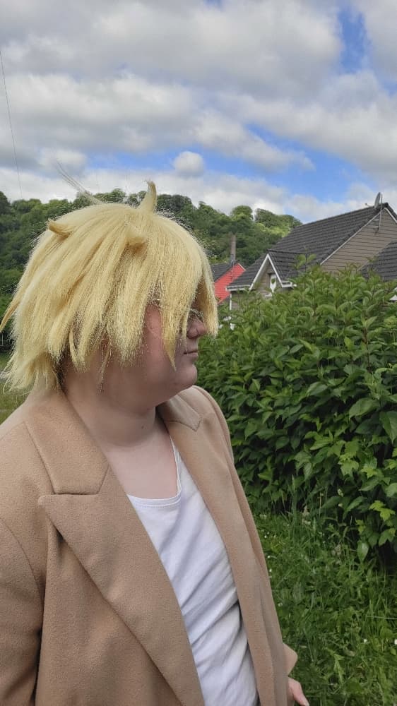 Ash linx  - Photo 20