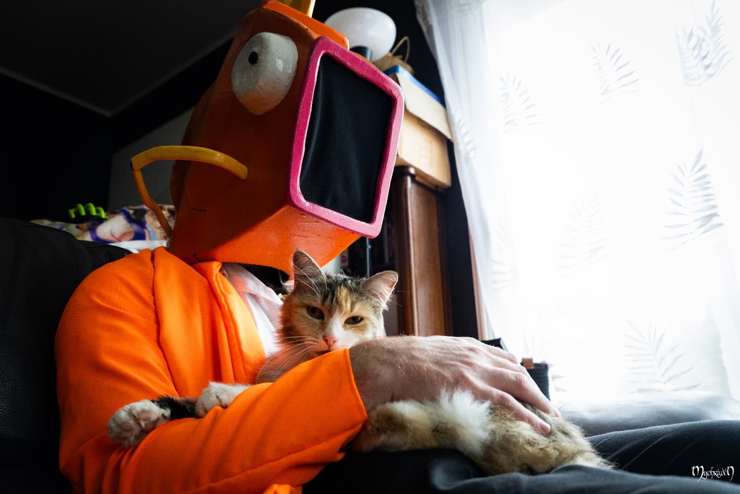 Gare à Pict'Asia - Photo 4