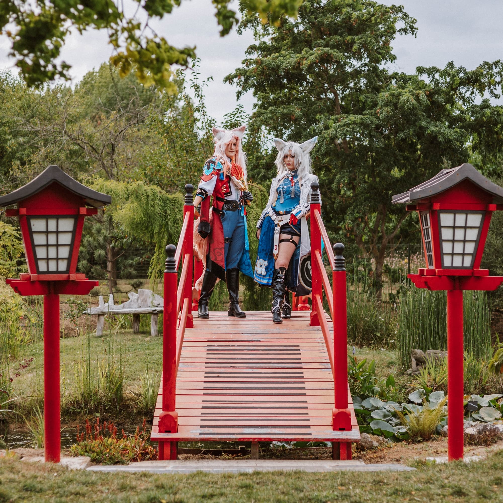 Feixiao et jiaoqiu 