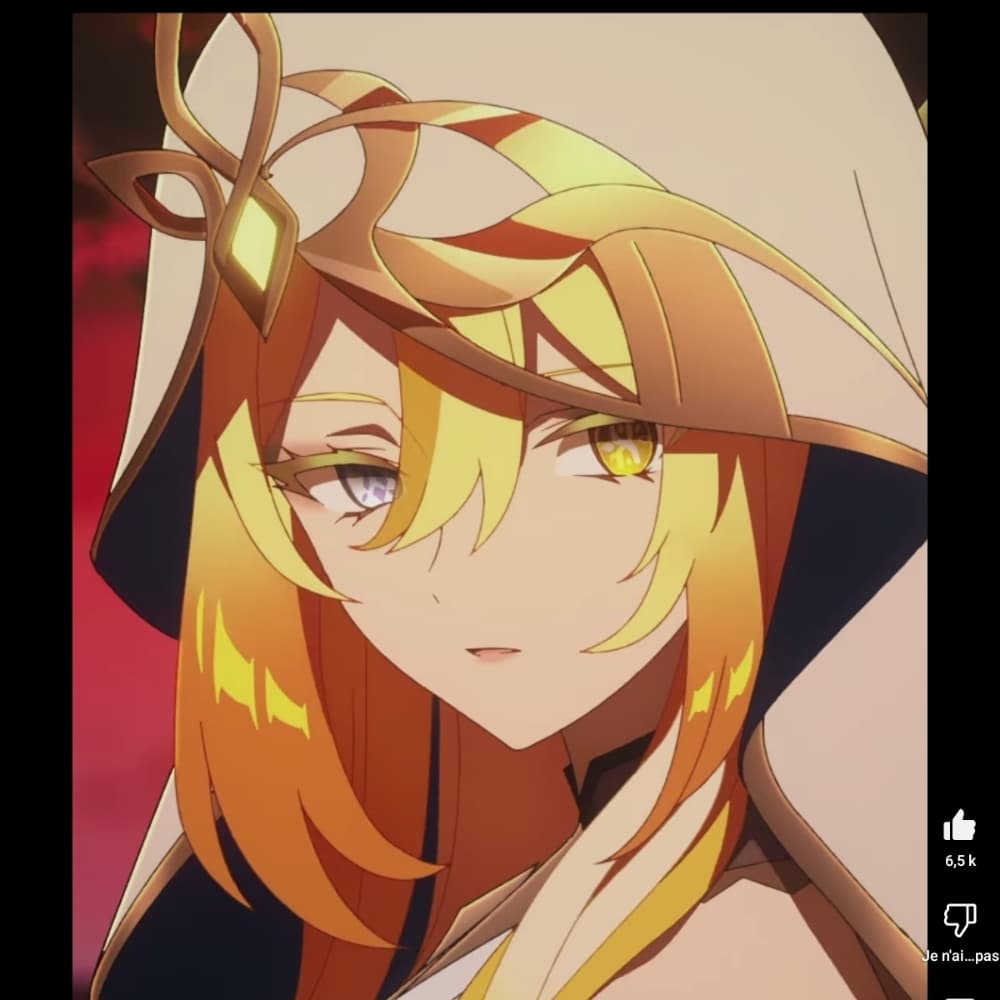 Rhinettodir sélection cfc