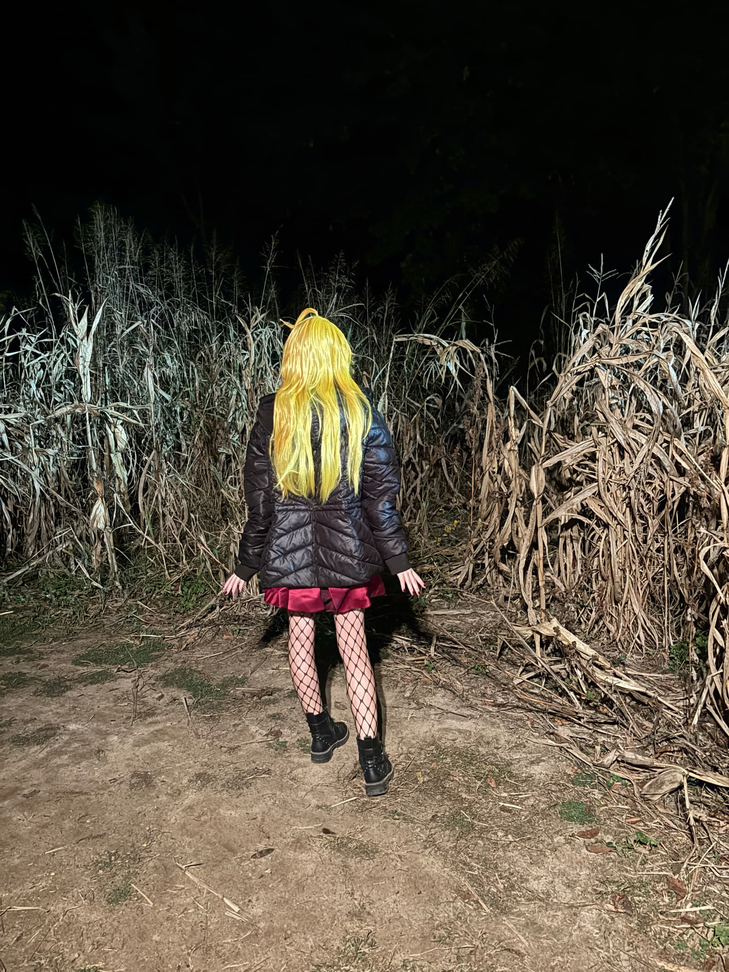 Panty Anarchy - Photo 6