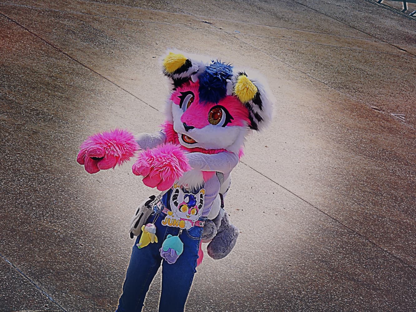 Juno - animasia  - Photo 5