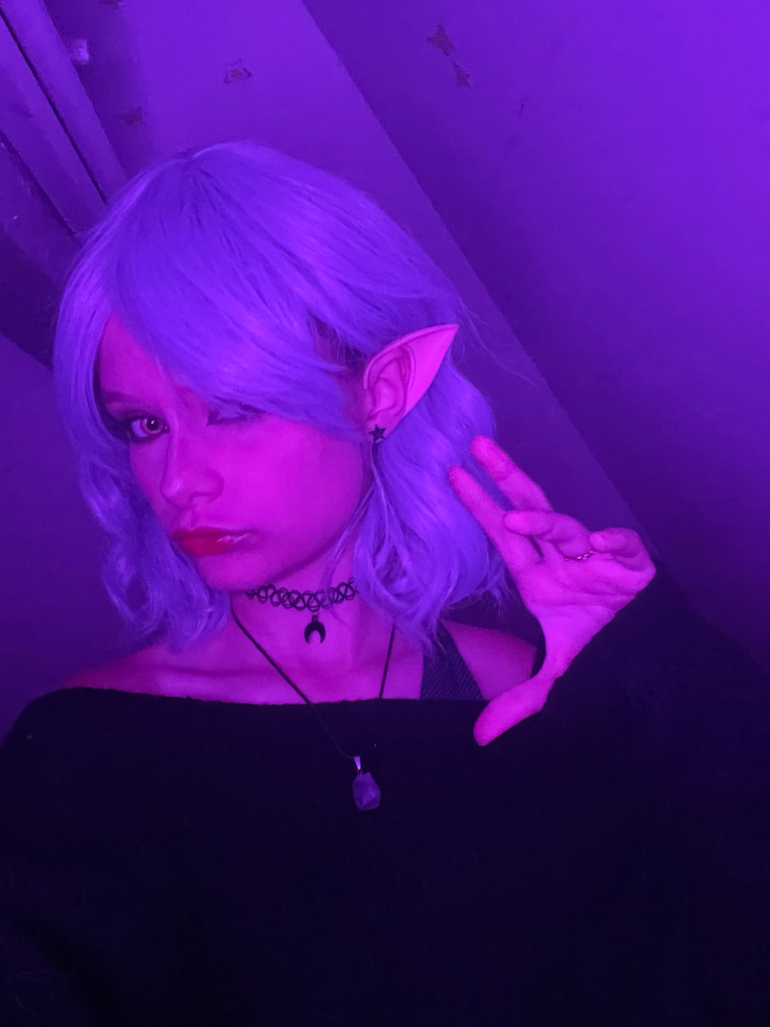 Amity blight  - Photo 9