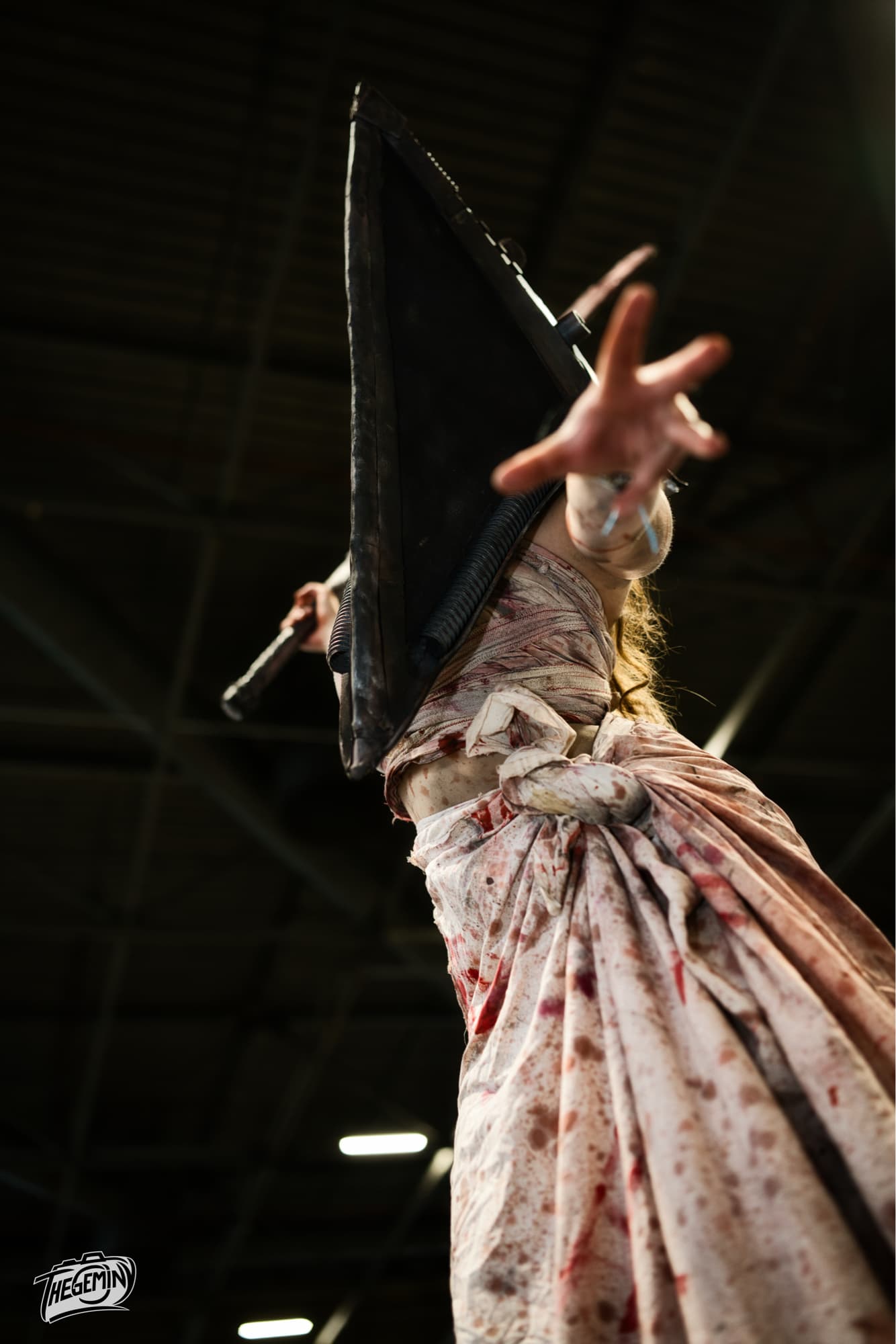 Pyramid head  - Photo 10