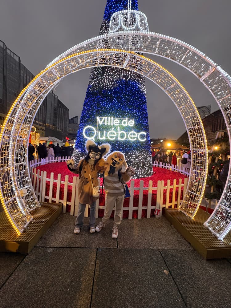 Photos Tapioca - Photo 8