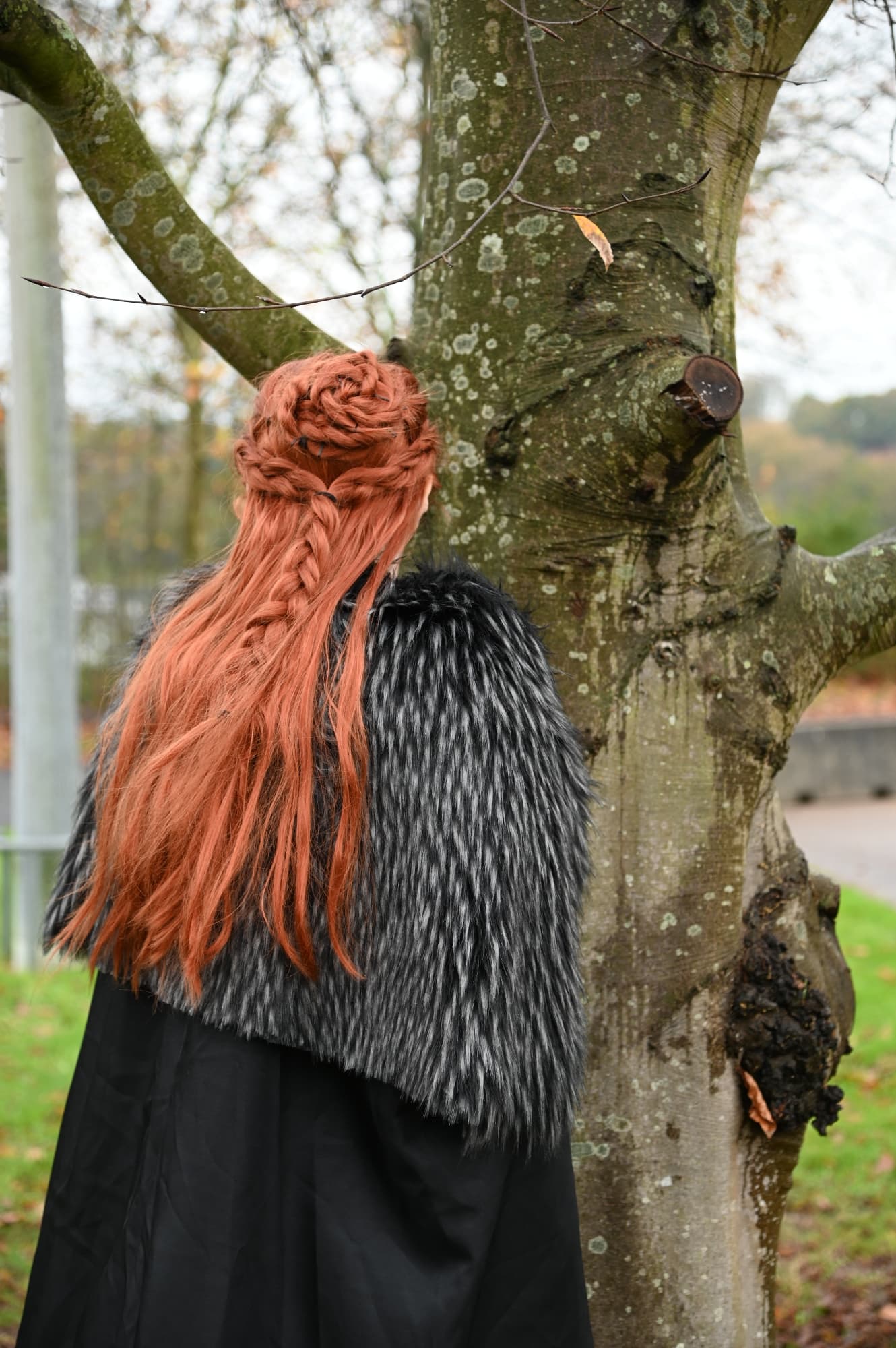 Sansa Stark - Photo 6