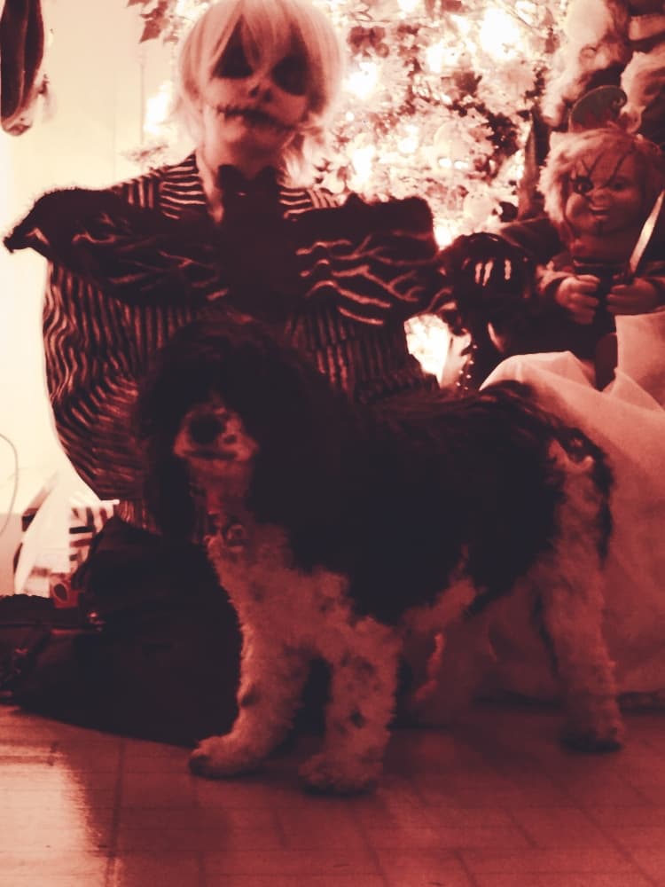 Christmas Jack - Photo 2