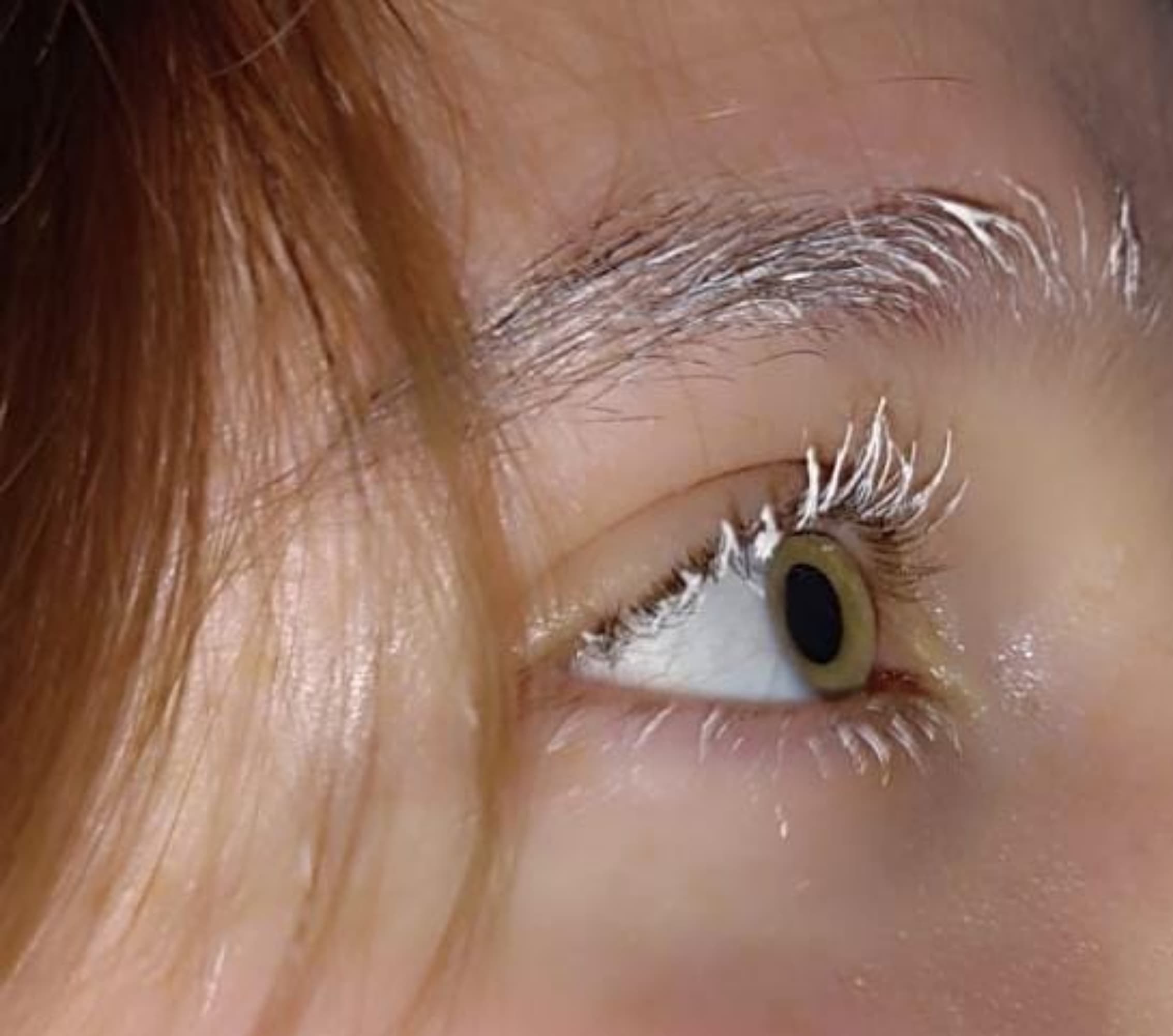 Cinéma Gojo/Sukuna  - Photo 10