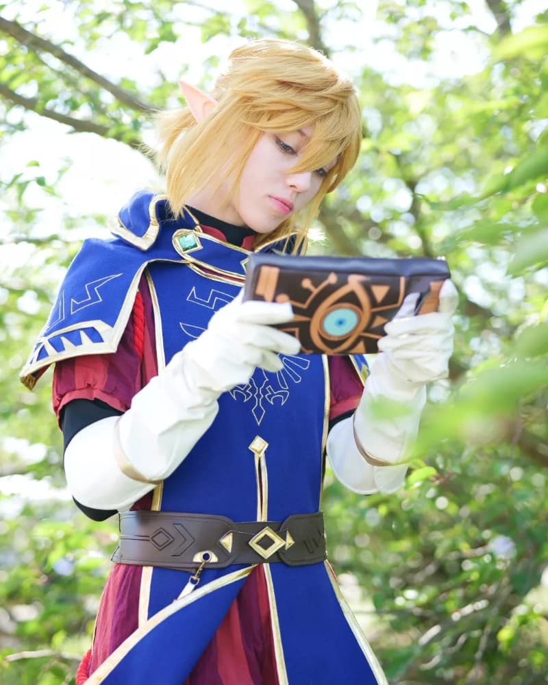 Link royal guard - Photo 5