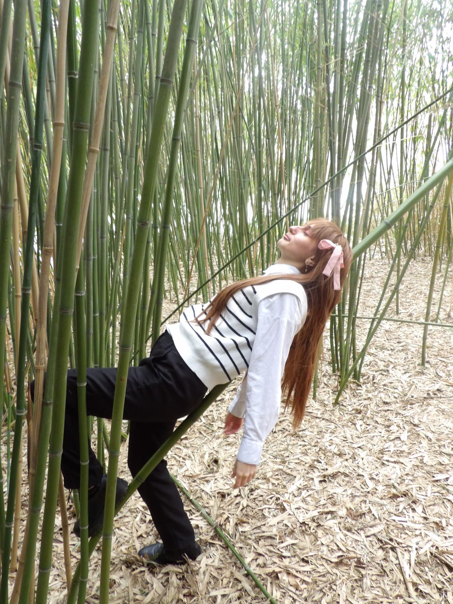 Tohru Honda  - Photo 21