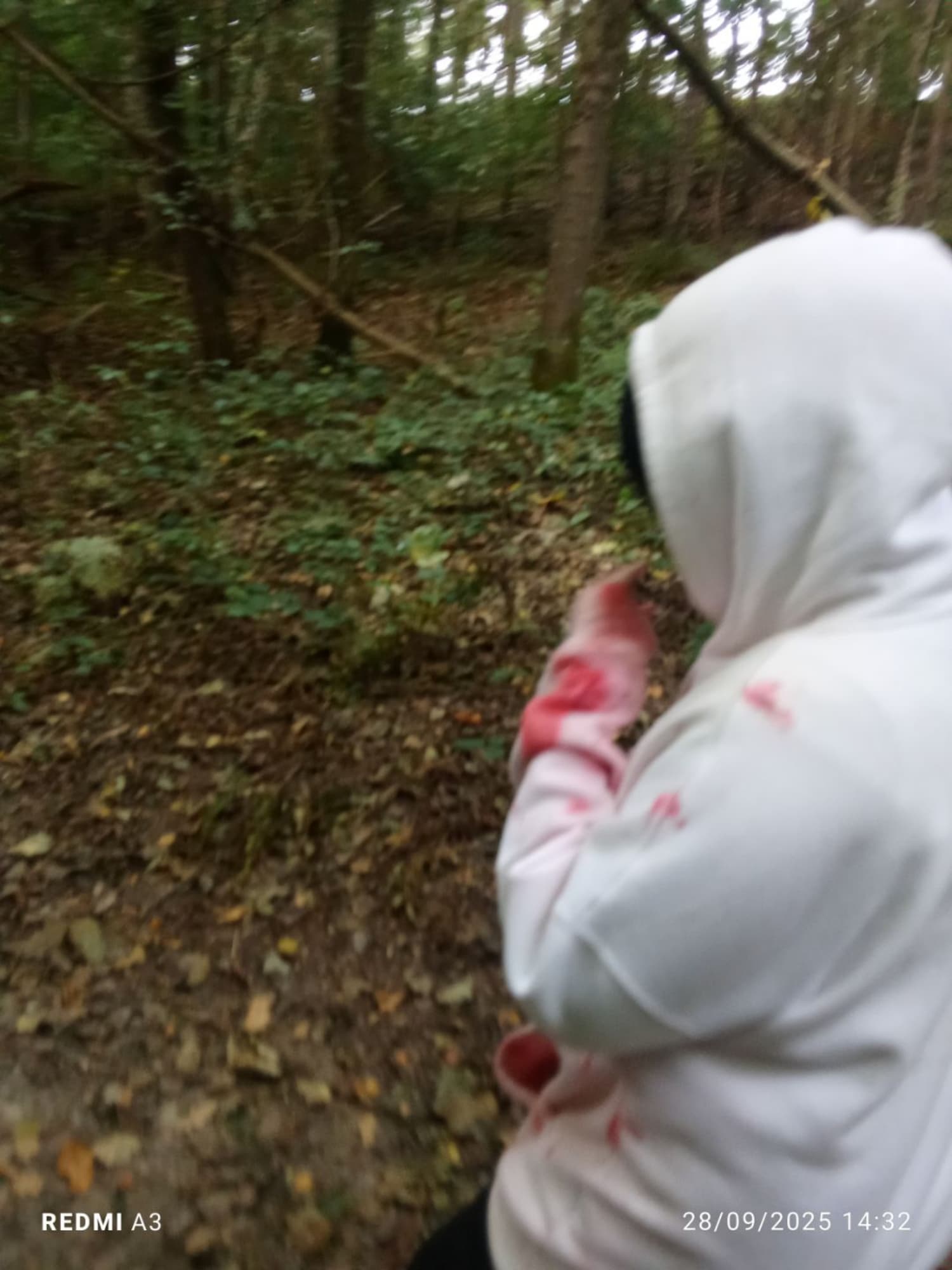 Jeff the killer - Photo 12