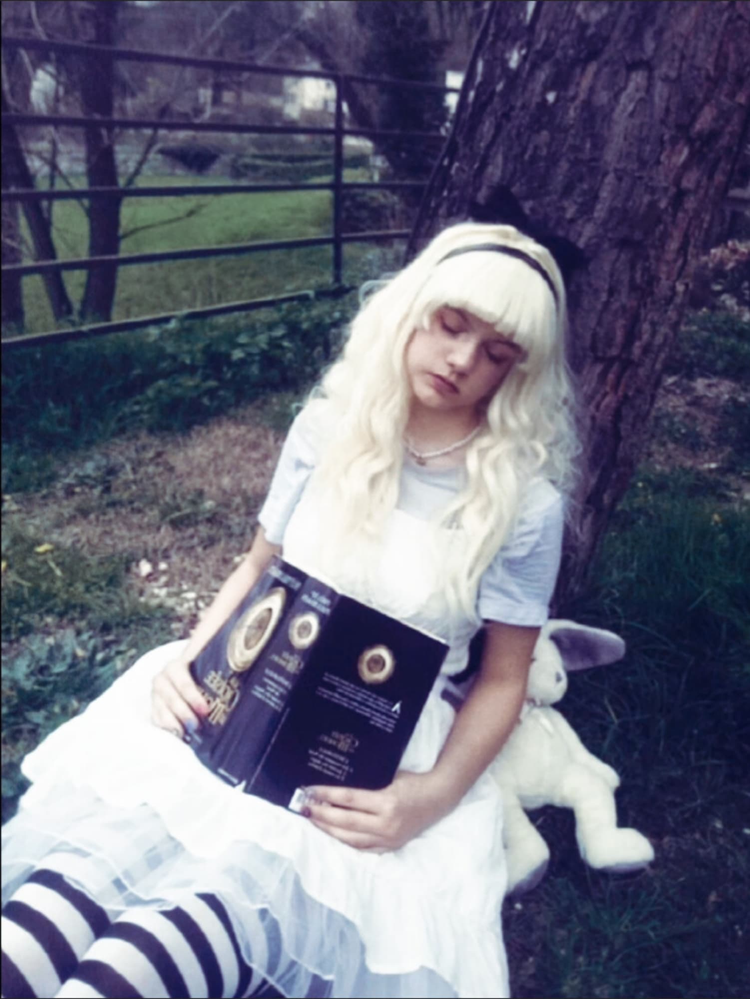 ALICE  - Photo 11