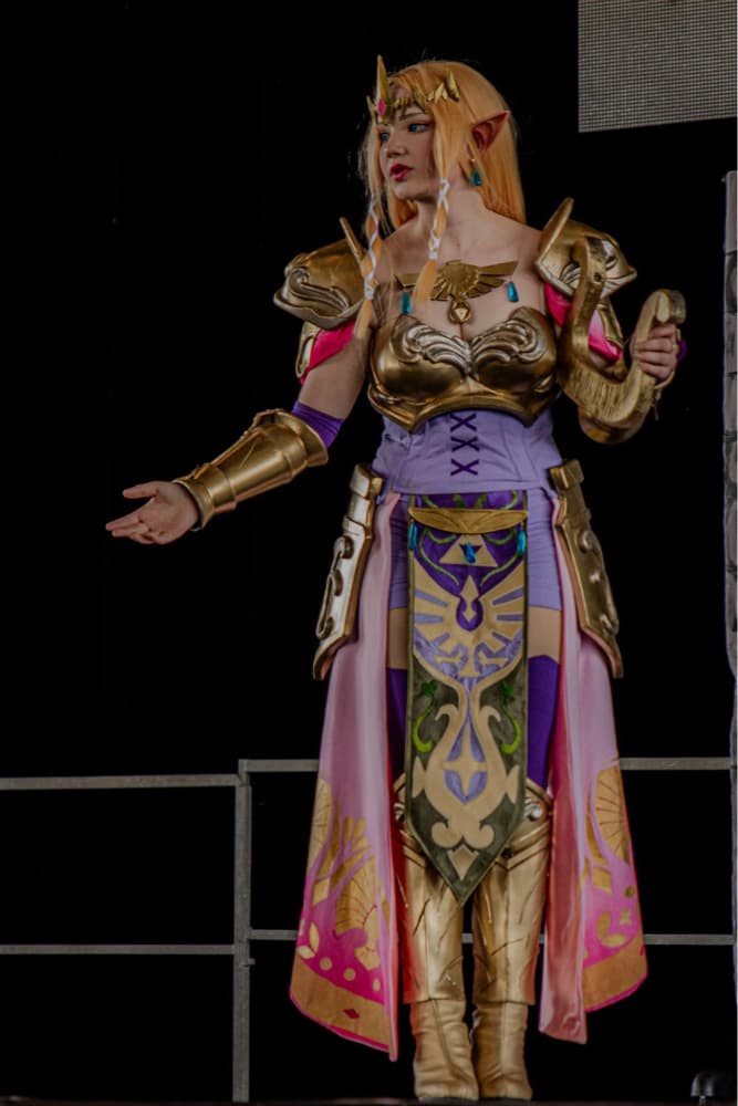 ⭐️ Zelda ⭐️ - Photo 7