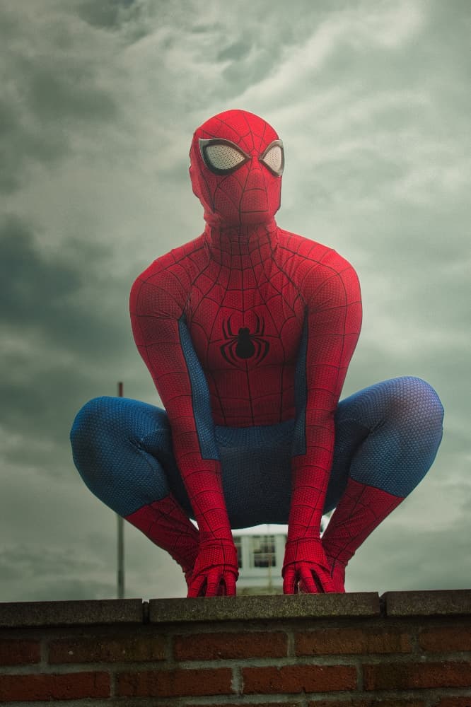 Spidey & Capt Marvel - Photo 2