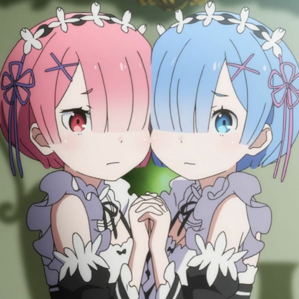 🦄 Ram / Rem 🦄