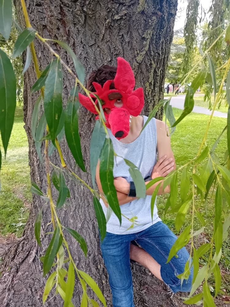 Orchies Festival - Photo 9