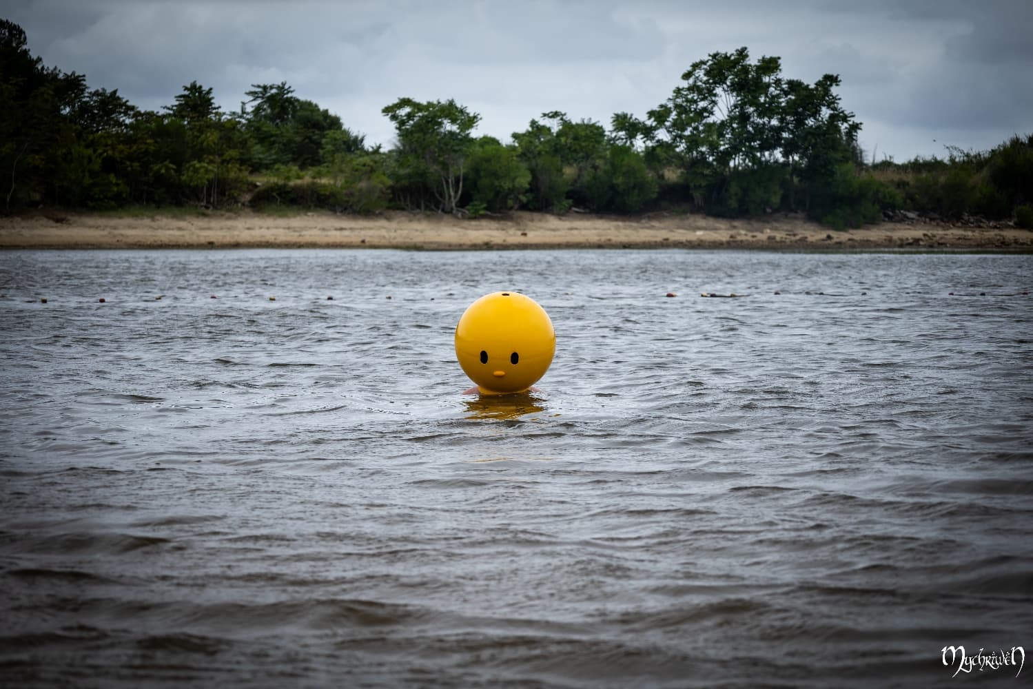 Pieyon à la plage 1 - Photo 2