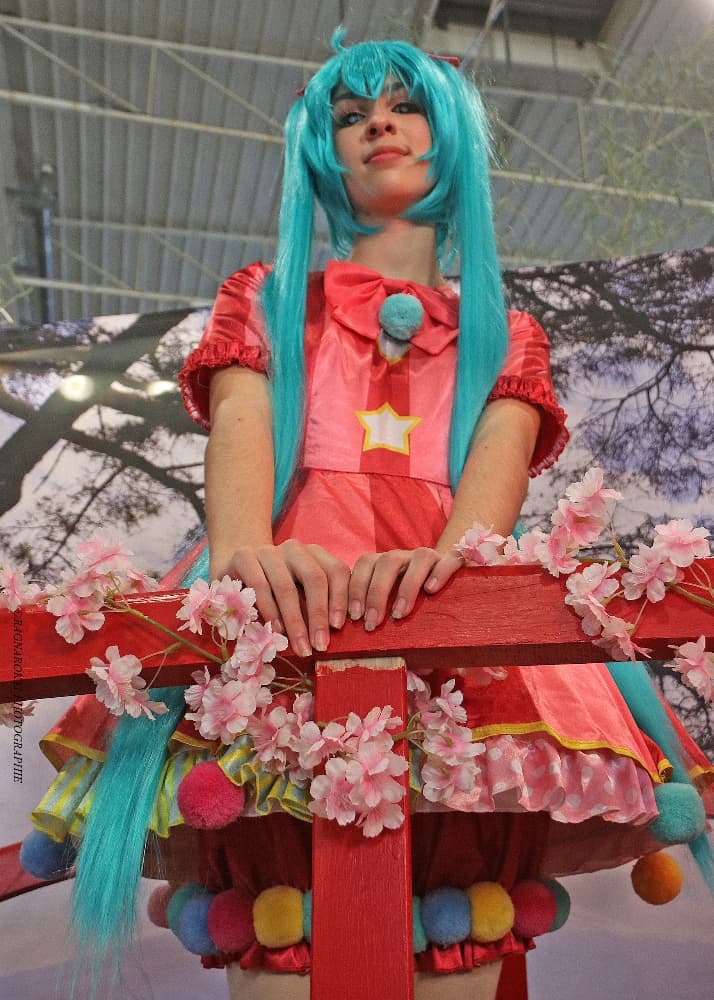 Miku wxs - Photo 3