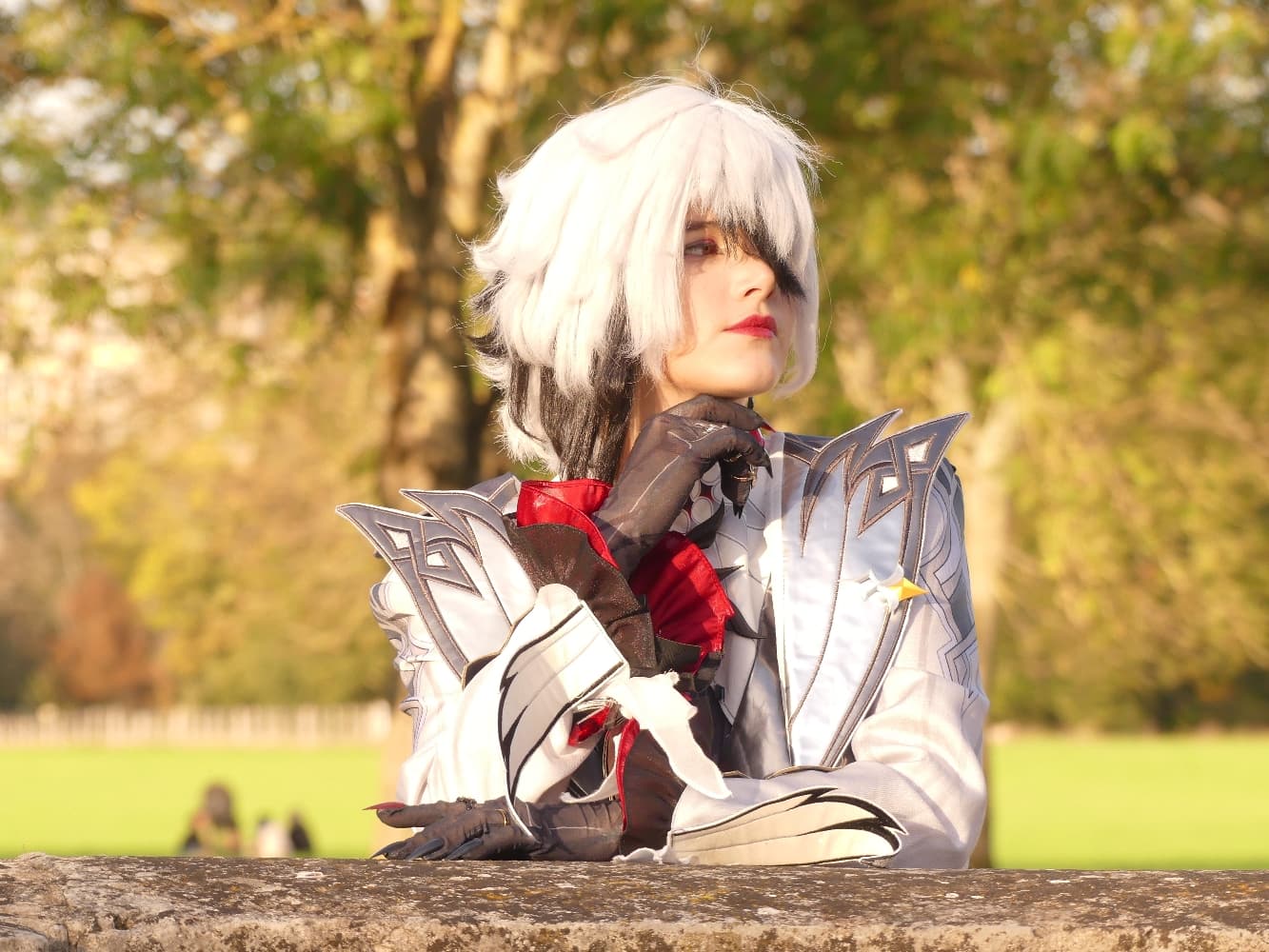 Arlecchino  - Photo 3