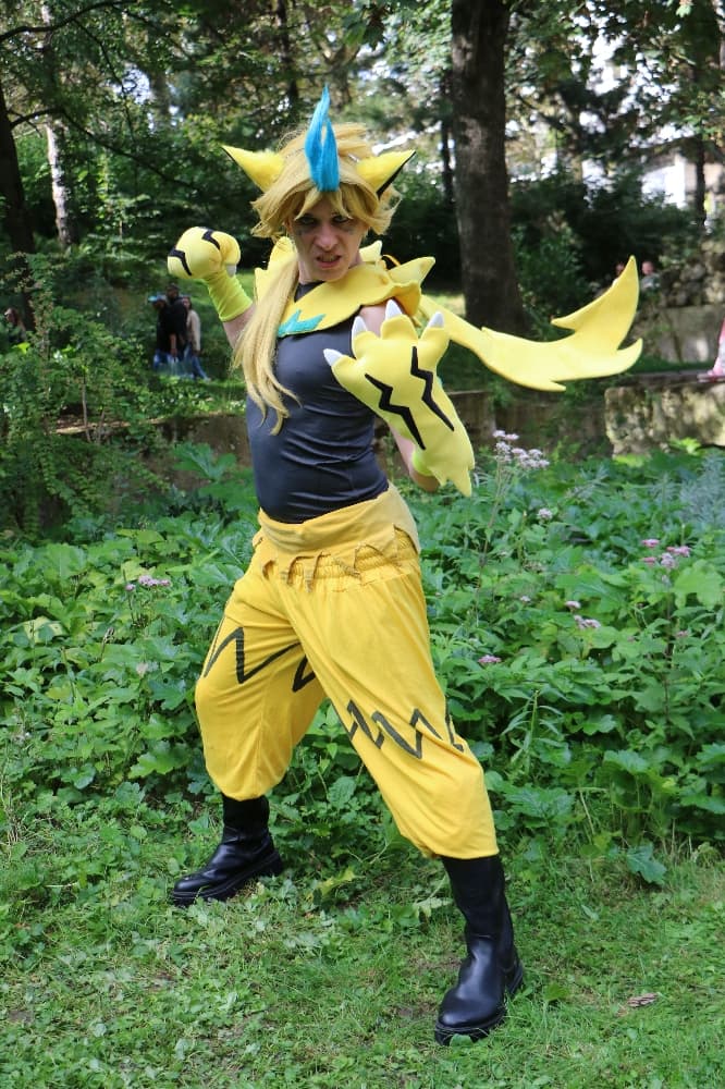 Zeraora & Chats - Photo 6