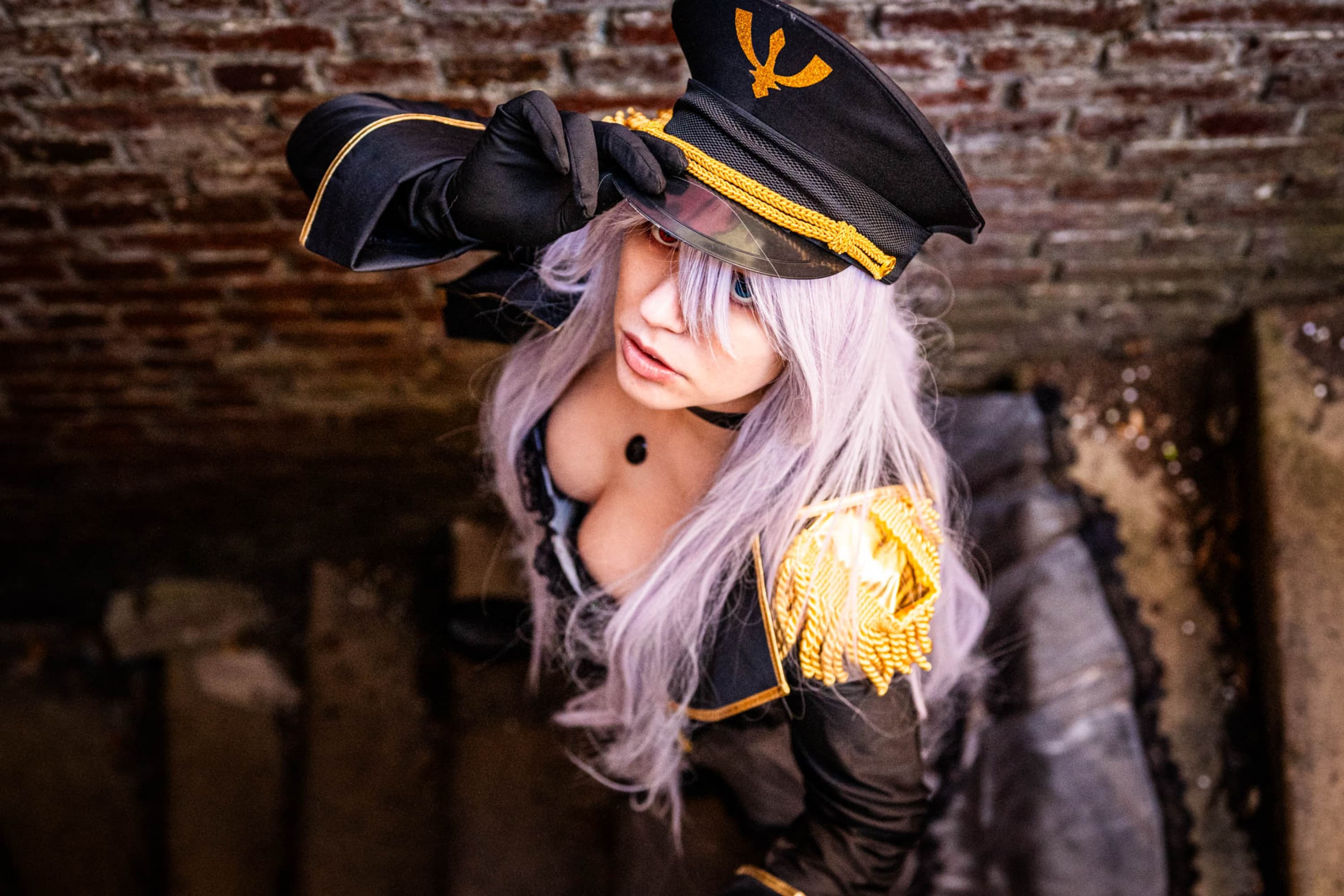 Black lobelia  - Photo 18